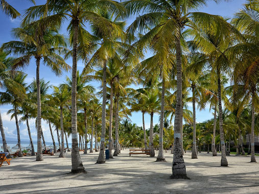 Bohol Municipality in the Philippines 