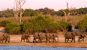 Best Places To Visit In Botswana