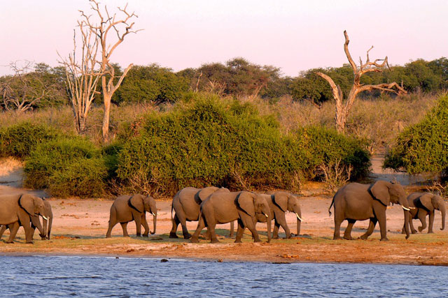 Best Places To Visit In Botswana
