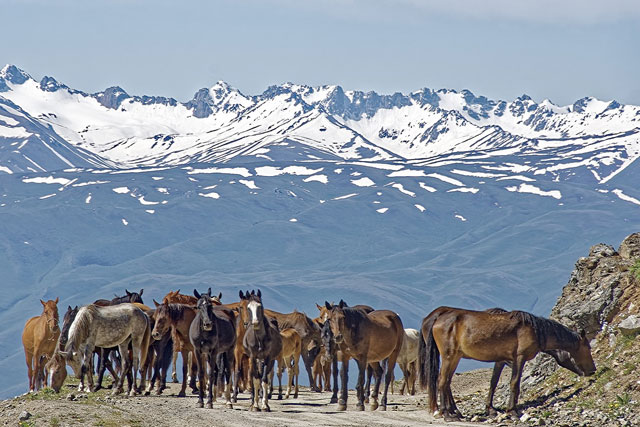 Best Places To Visit In Kyrgyzstan
