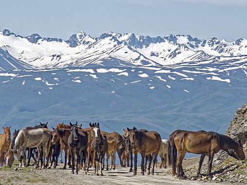 Kyrgyzstan