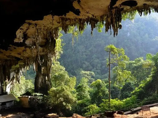 Taman Negara National Park in Malaysia
