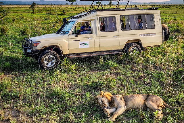 Safari in Tanzania