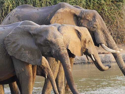 best places to visit in Zambia 