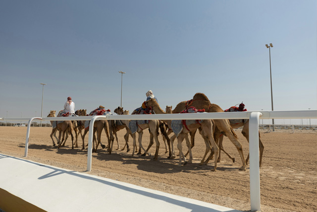 A group of camel riders crossing the golden sand dunes of the desert under a clear sky