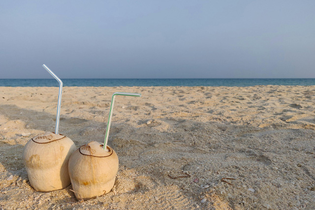 A stunning view of Qatar’s Inland Sea, where golden sand dunes meet the crystal-clear waters