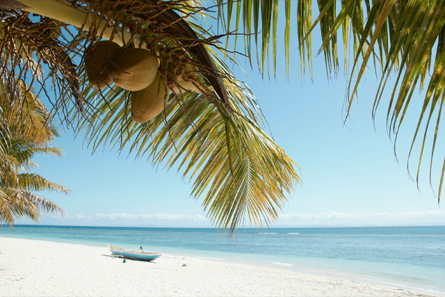 Beautiful landscape of Madagascar featuring lush greenery, unique rock formations, and stunning coastline