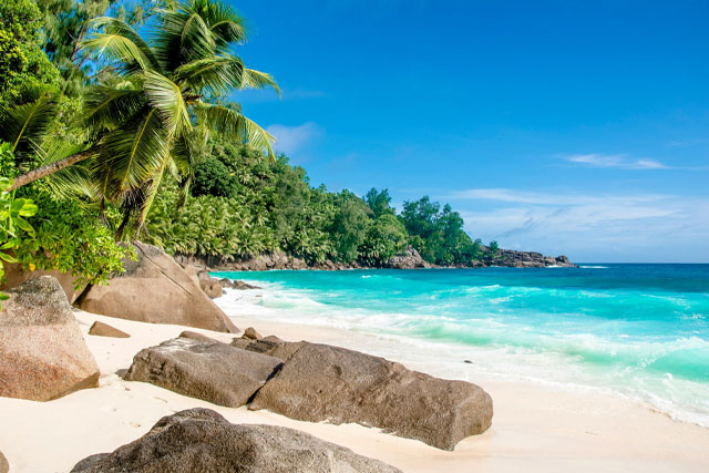 Tropical Paradise Beach with Palm Trees and Azure Waters in Seychelles 