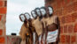 The Ultimate Travel Guide to Africa