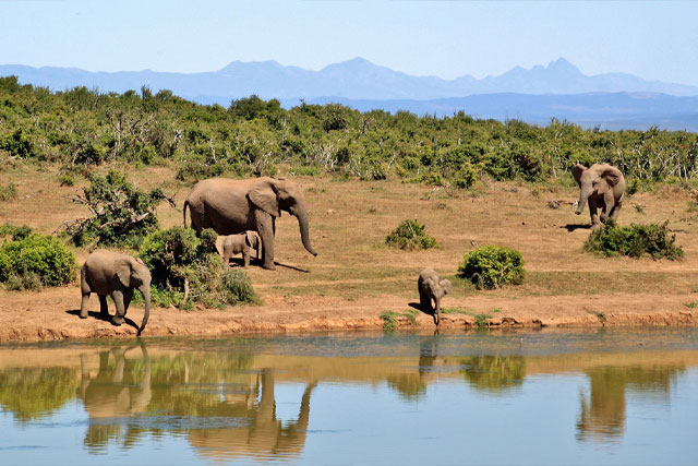 Best Seasons and Weather to visit africa